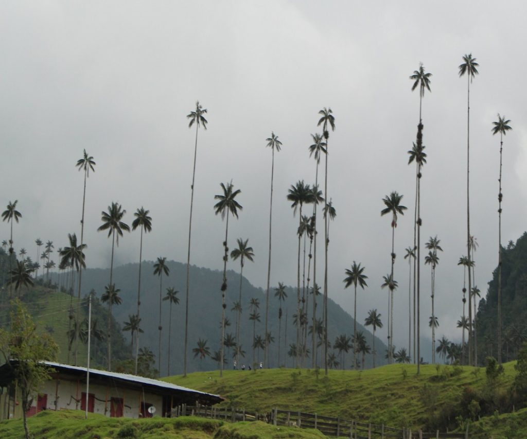A la fecha Colombia cuenta en total con 13 áreas certificadas como destinos turísticos sostenibles