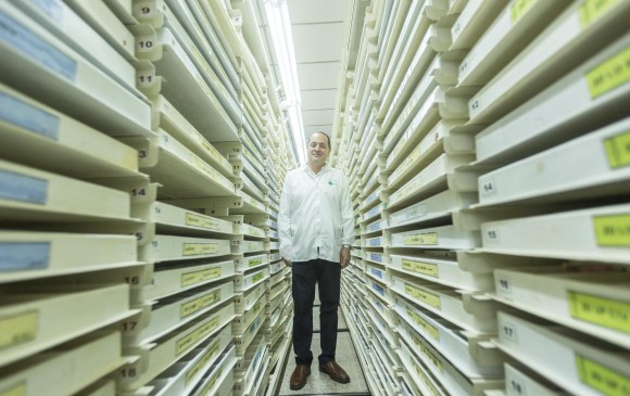 New Stetic, un negocio de 80 millones de dientes New Stetic, un negocio de 80 millones de dientes