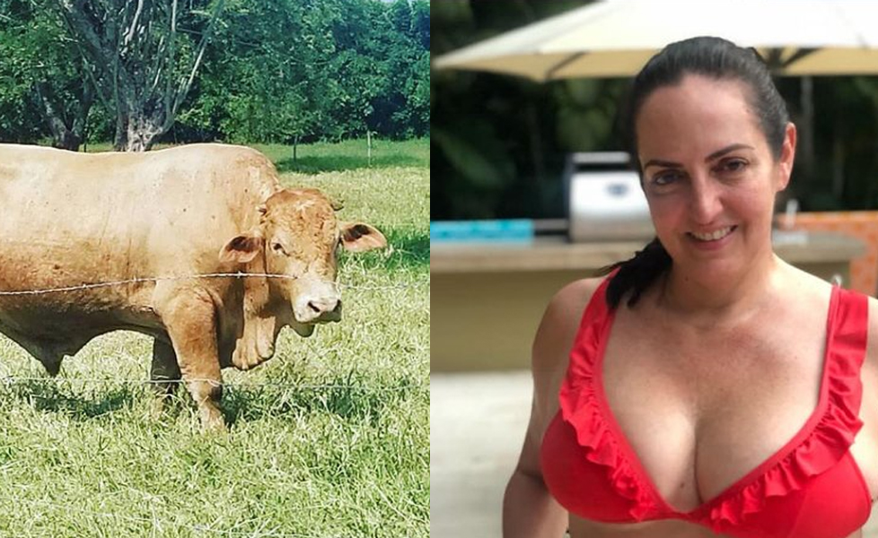 Usuario de Twitter se refirió a María Fernanda Cabal como la vaca robada a Faustino “el Tino” Asprilla