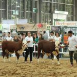 Expofinca