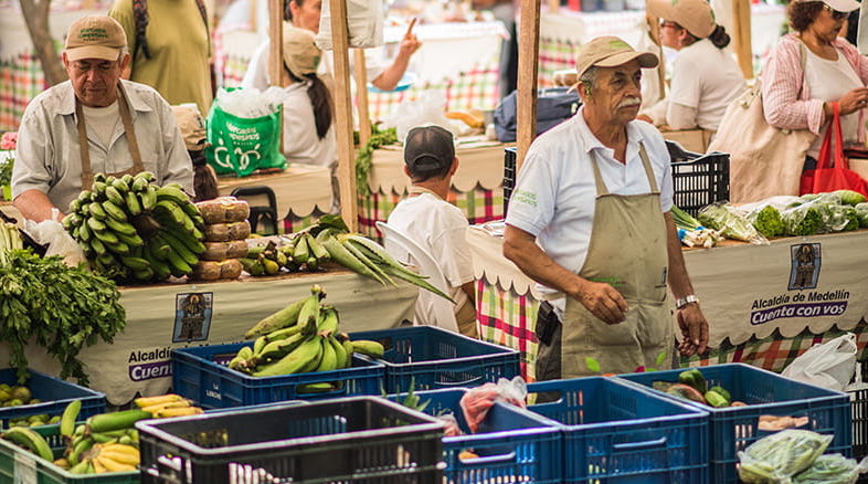 Buscan más beneficios para 408 integrantes de los Mercados Campesinos Buscan más beneficios para 408 integrantes de los Mercados Campesinos