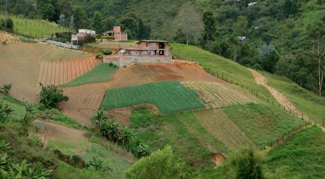 Compra Local ha comercializado más de 0 millones en productos