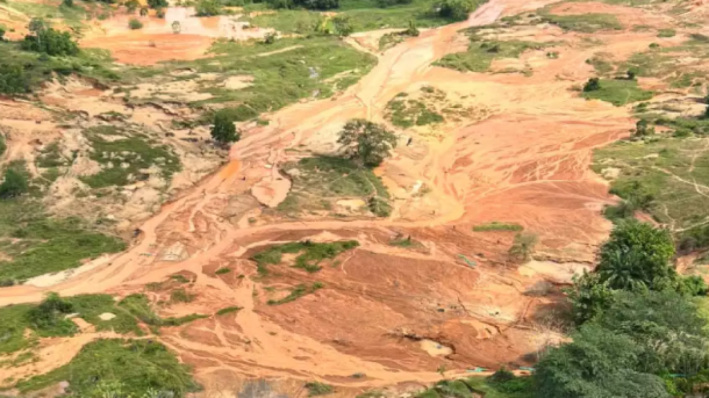 Unas 1.300 hectáreas de bosques destruidas este año por minería ilegal en el Nordeste y Bajo Cauca