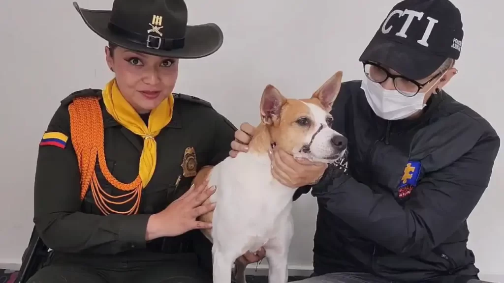 “Luna”, la perrita a la que le amarraban el hocico vive con quienes la rescataron y no con los maltratadores