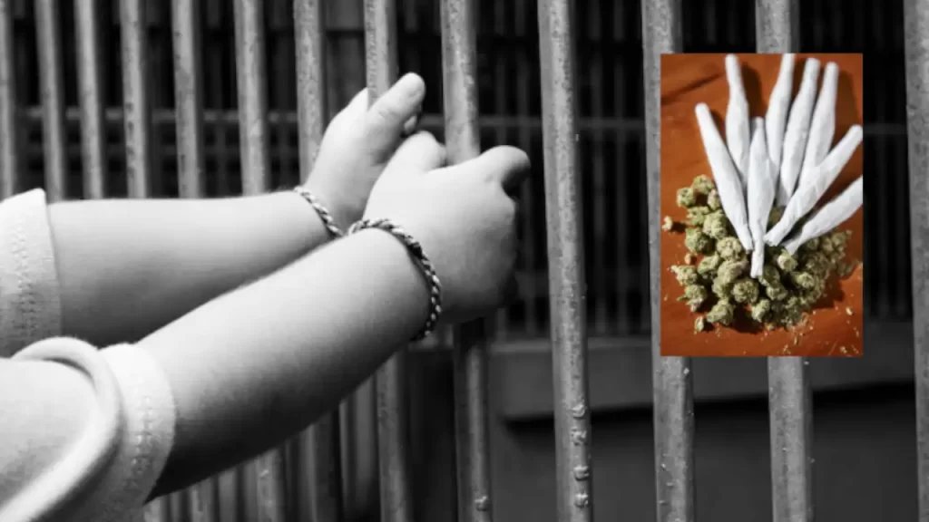 Más de cinco años de prisión para mujer que intentó ingresar marihuana a un detenido en Medellín Más de cinco años de prisión para mujer que intentó ingresar marihuana a un detenido en Medellín