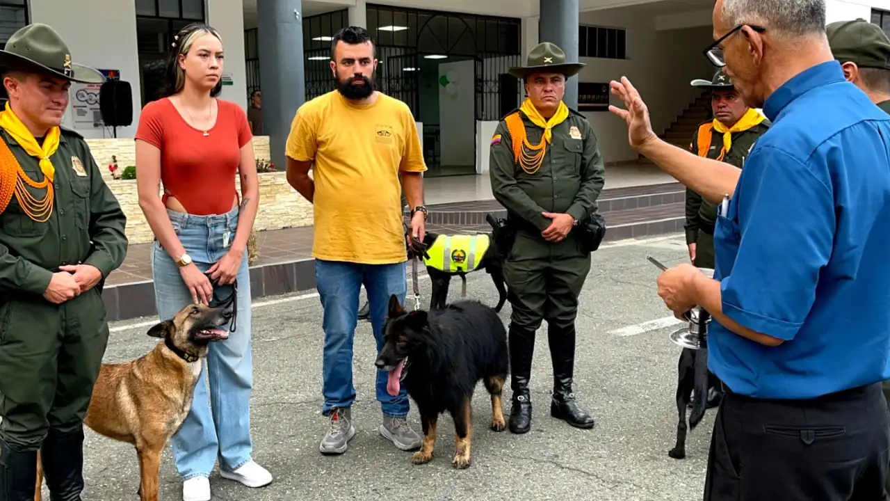Perritos policías en Antioquia se jubilan y encuentran nuevos hogares