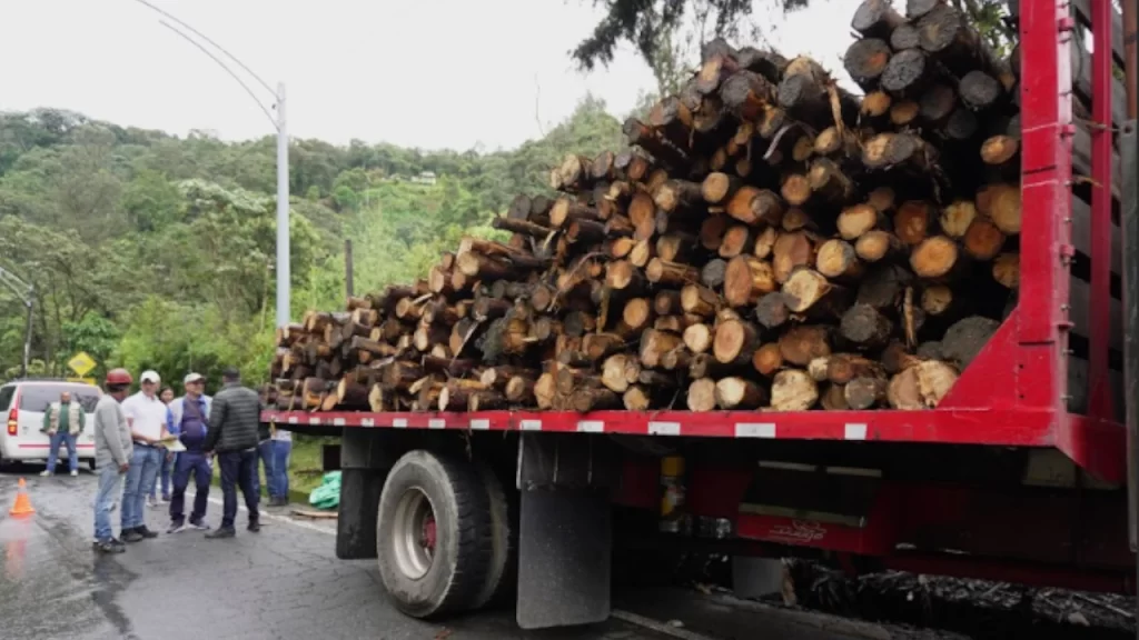 Antioquia 5° departamento del país con mayor deforestación: incautan 30 metros cúbicos de madera ilegal Antioquia 5° departamento del país con mayor deforestación: incautan 30 metros cúbicos de madera ilegal