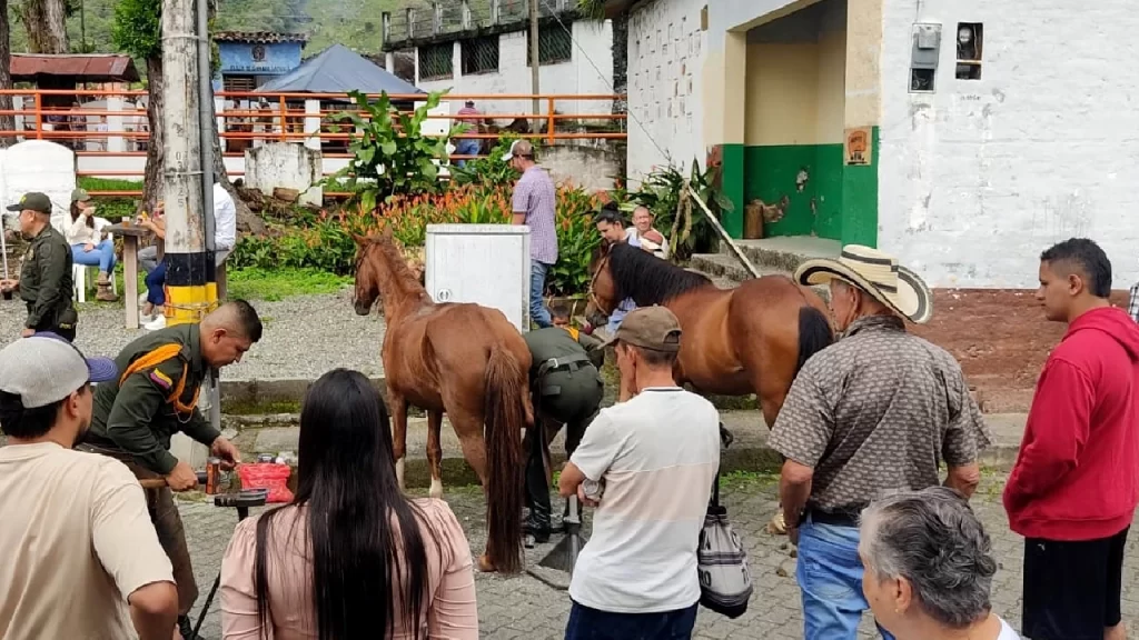 “Bienestar en 4 patas”: una jornada de amor y cuidado por los animales realizada en Támesis “Bienestar en 4 patas”: una jornada de amor y cuidado por los animales realizada en Támesis