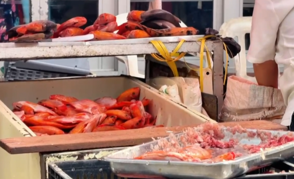 Incautaron más de 300 kilos de carne que no tenían normativa vigente Incautaron más de 300 kilos de carne que no tenían normativa vigente