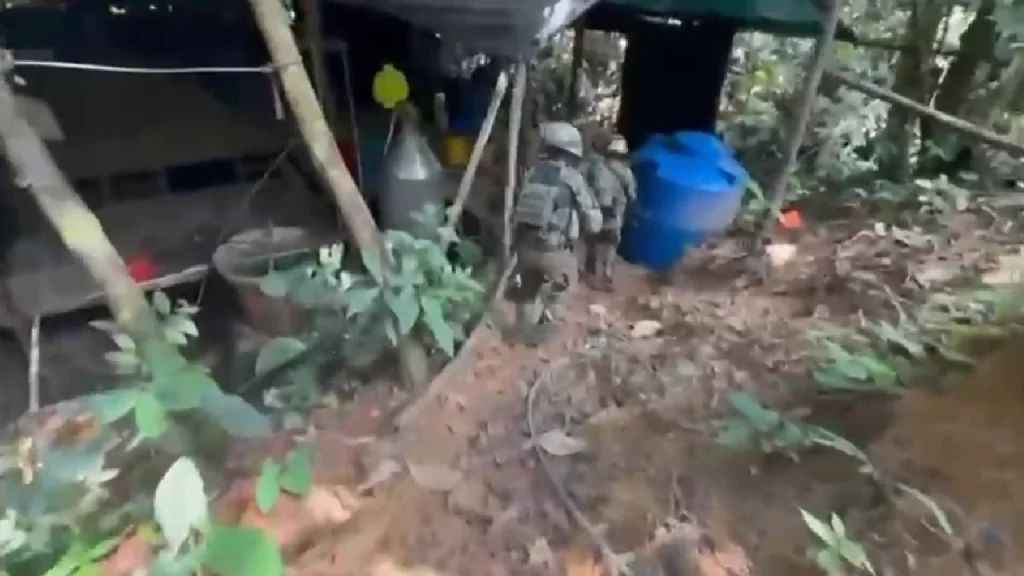 Desmantelan megalaboratorio de coca del Clan del Golfo en San Francisco, Antioquia: producía 1,5 toneladas de droga al mes Desmantelan megalaboratorio de coca del Clan del Golfo en San Francisco, Antioquia: producía 1,5 toneladas de droga al mes