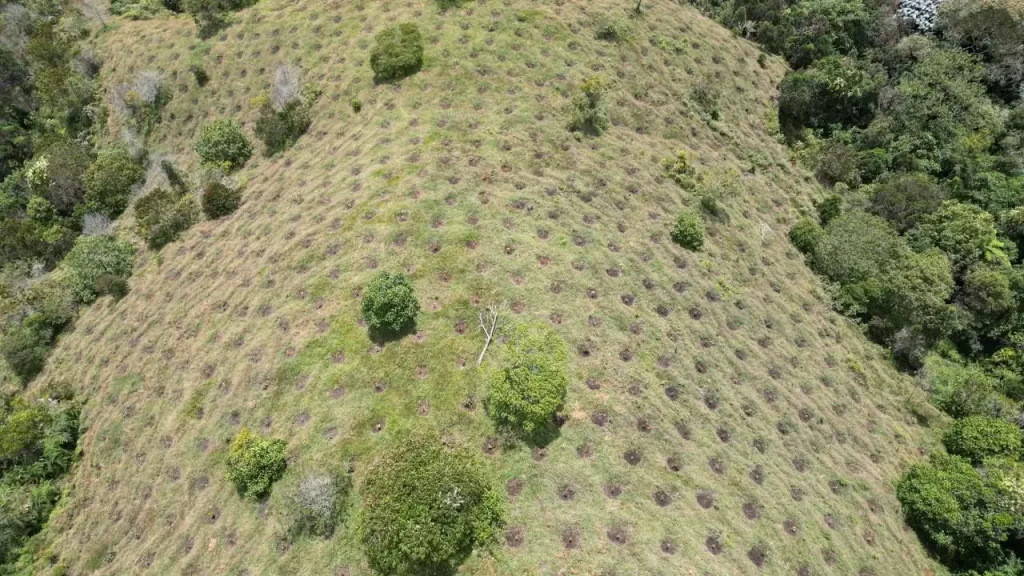 Buscan predios en Antioquia para reforestación y protección de fuentes hídricas Buscan predios en Antioquia para reforestación y protección de fuentes hídricas