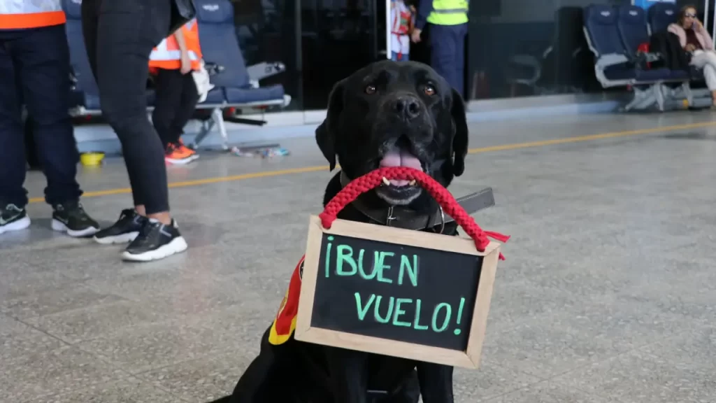 ¡Qué bonito! Ejército acompañó a niños en su primer vuelo en Medellín