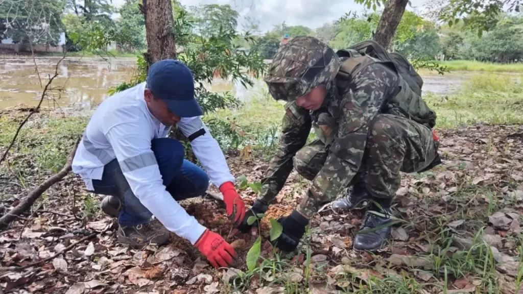 Ejército ha liderado siembra de casi 30 mil árboles en el Bajo Cauca durante el 2025 Ejército ha liderado siembra de casi 30 mil árboles en el Bajo Cauca durante el 2025