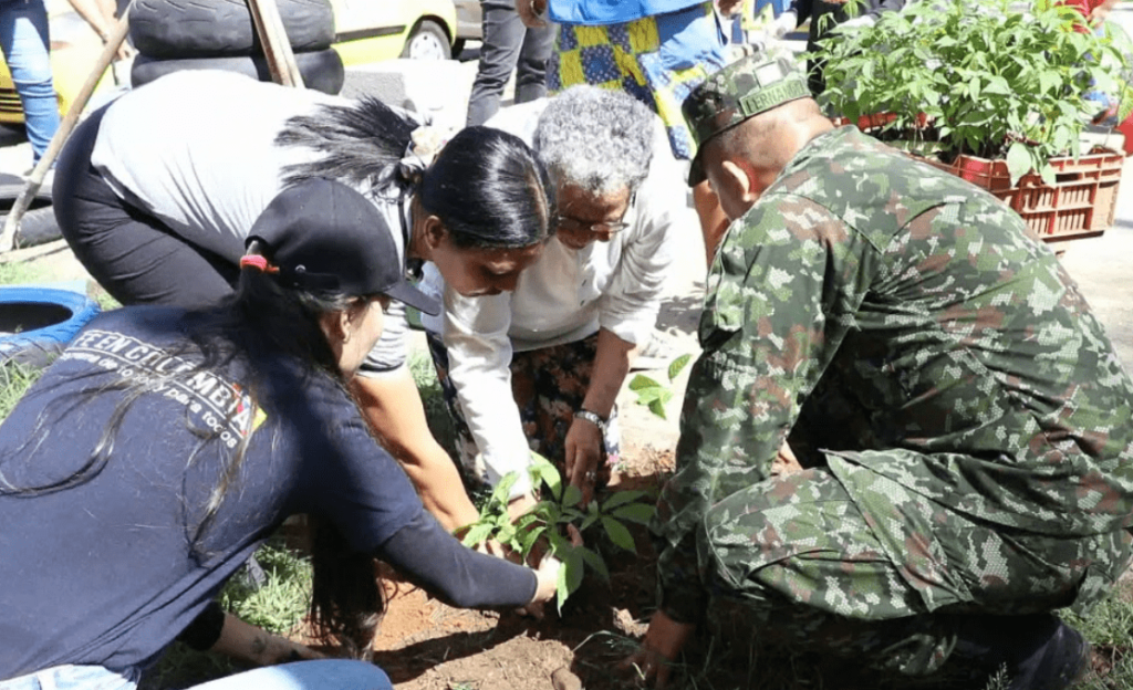 la comunidad y el Ejército, guardianes de las zonas verdes