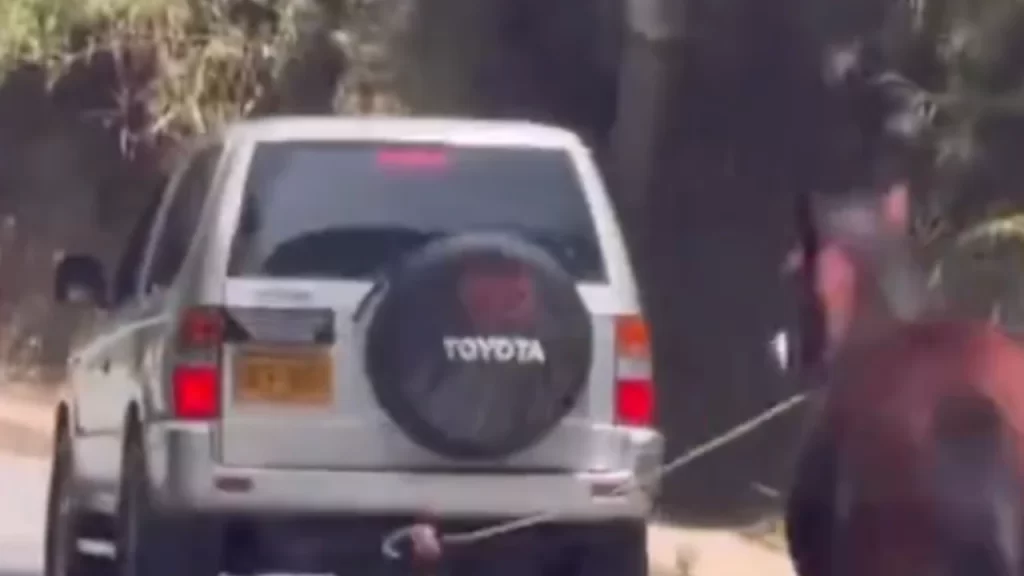 Video. ¡Qué rabia! Caballo fue arrastrado por un carro en movimiento entre El Peñol y Guatapé