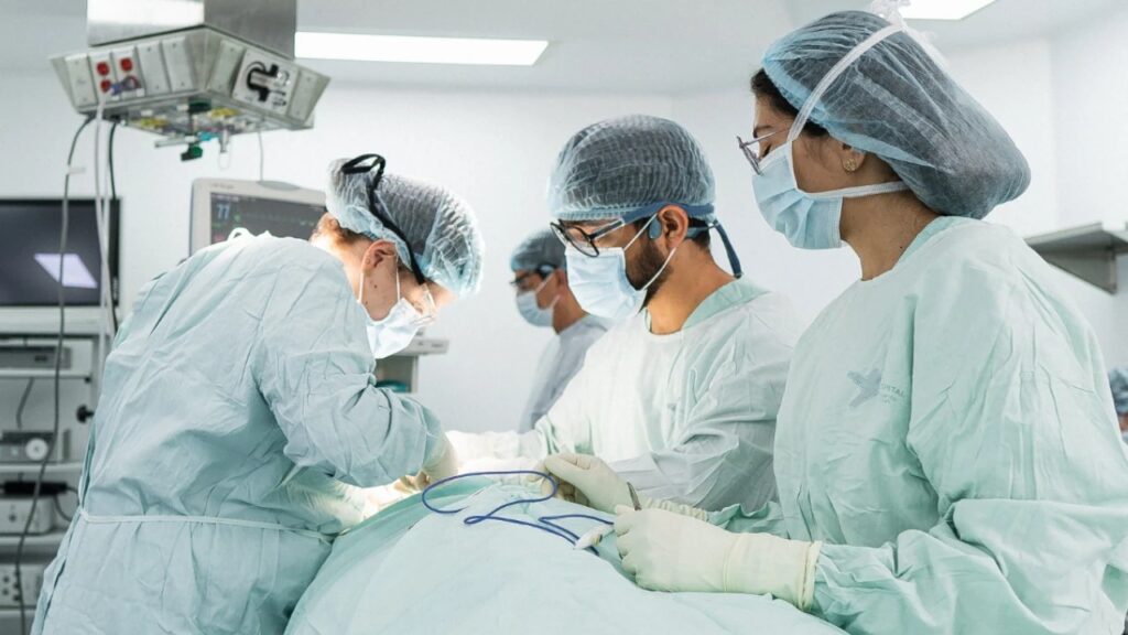 Conozca los mitos y realidades de los trasplantes de hígado y riñón en niños