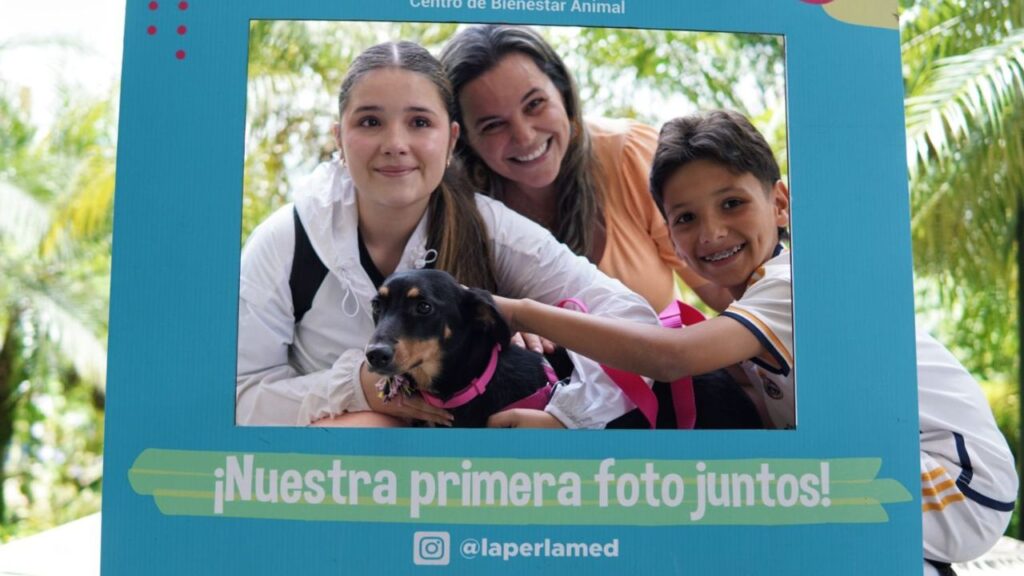 Medellín supera meta anual de adopciones de animales Medellín supera meta anual de adopciones de animales