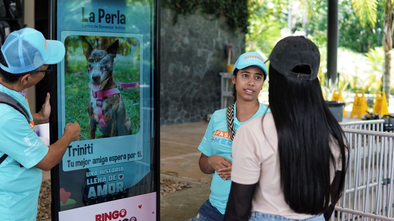 mascota portada