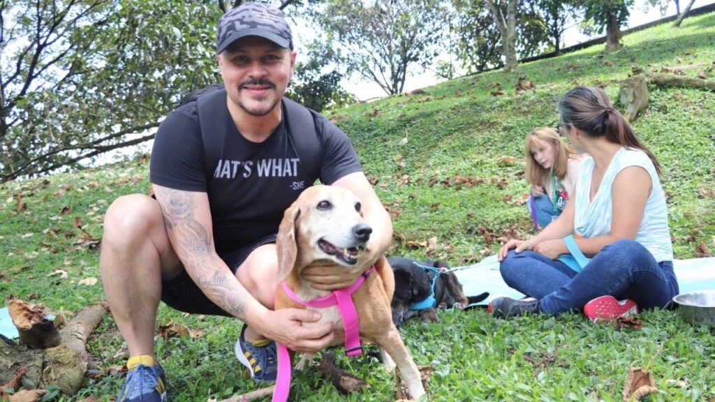 Perros mayores de La Perla vivieron jornada de amor Perros mayores de La Perla vivieron jornada de amor