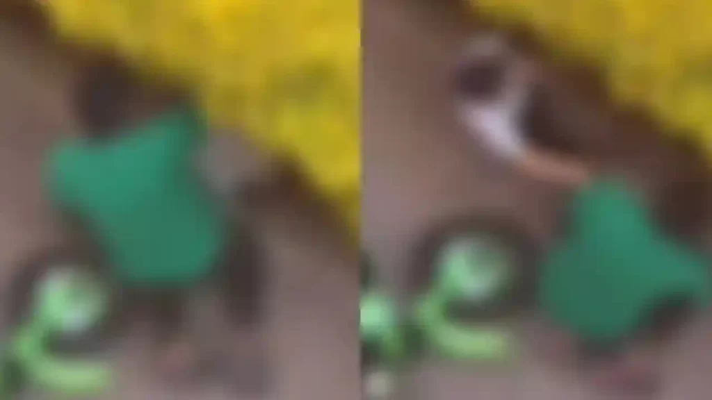 Aprehenden a adolescente por presunto abuso de menor Aprehenden a adolescente por presunto abuso de menor
