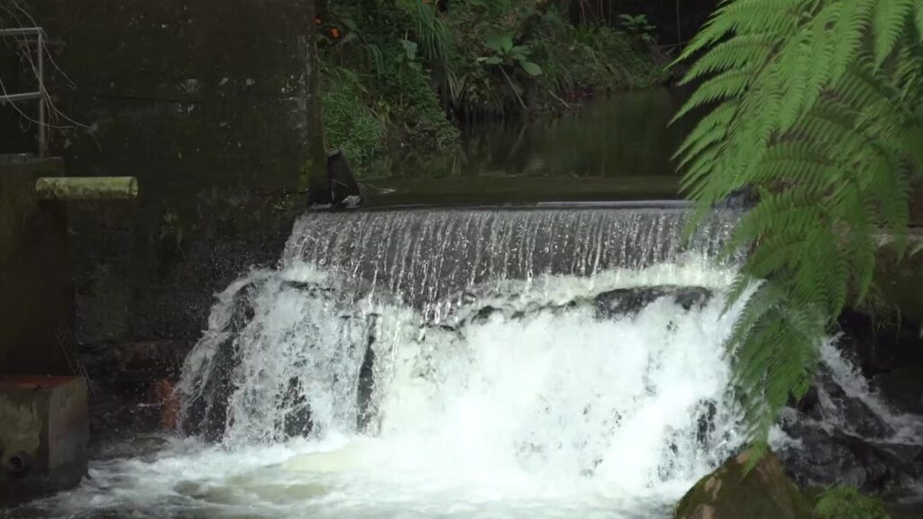 Más de 80.000 metros de fuentes hídricas han sido intervenidos este año en Envigado Más de 80.000 metros de fuentes hídricas han sido intervenidos este año en Envigado