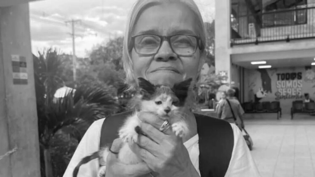 Reconocida defensora de animales fue hallada atada y sin vida en su casa Reconocida defensora de animales fue hallada atada y sin vida en su casa
