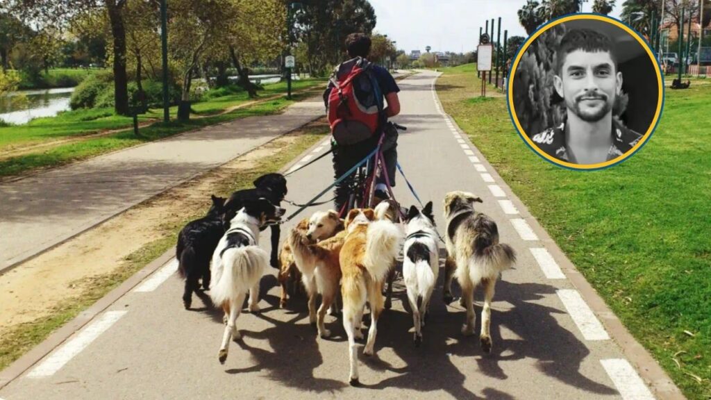 17 años de prisión al hombre que mató a paseador de perros luego de una discusión en Rionegro 17 años de prisión al hombre que mató a paseador de perros luego de una discusión en Rionegro