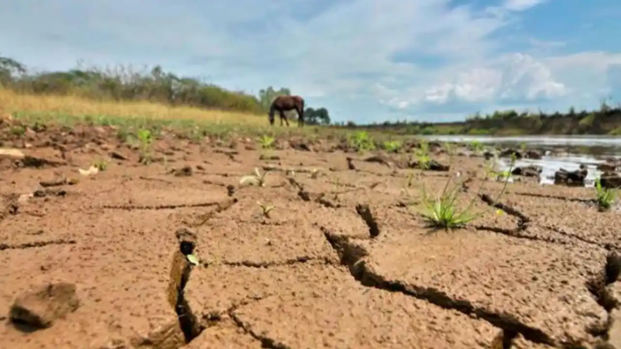 Alerta por posible Fenómeno de El Niño: Colombia se prepara para sequías