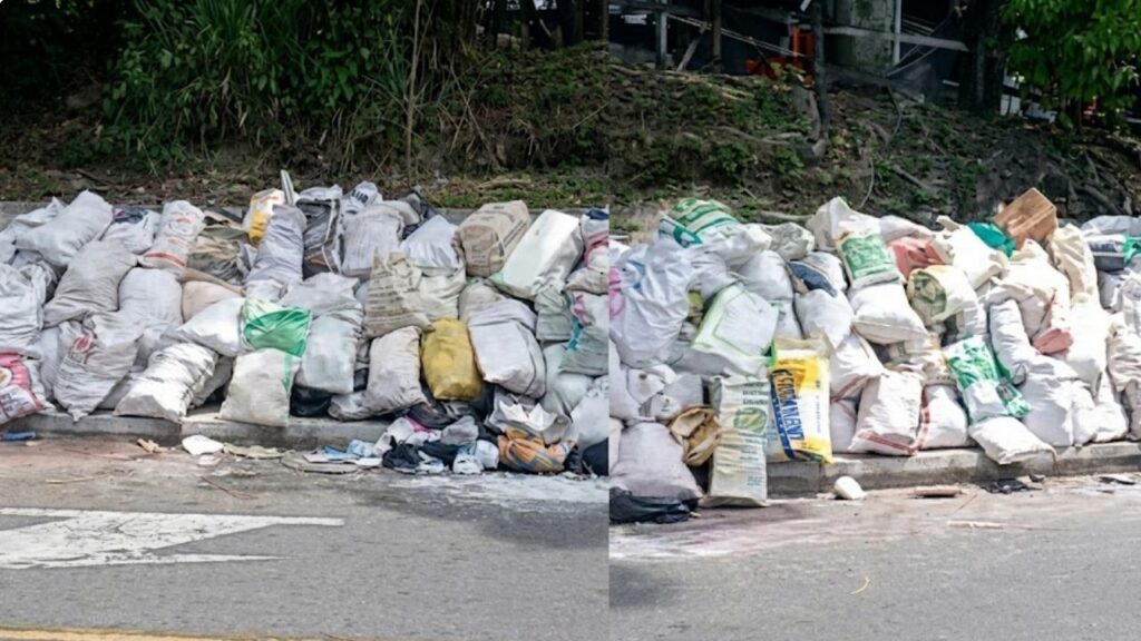 Inmovilizan camión y sancionan a sujetos que arrojaron escombros en una calle de Castilla