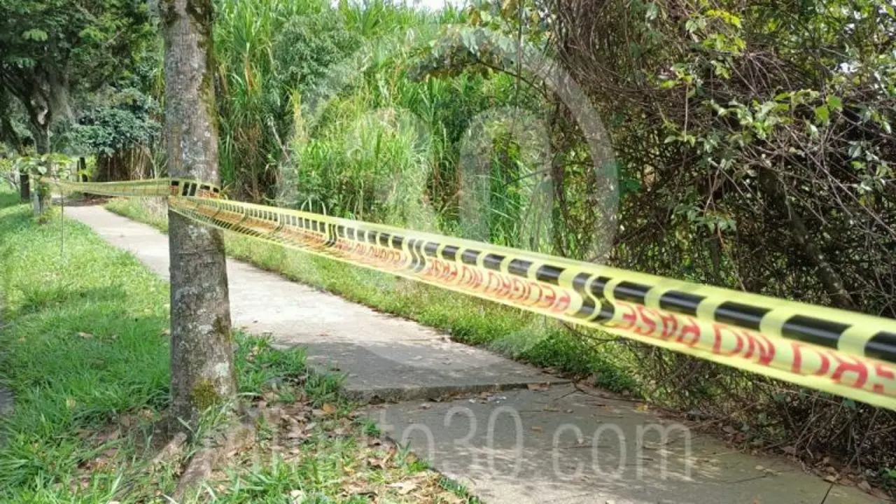embolsado crimen muerto