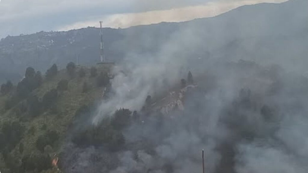 Bomberos trabajan para controlar incendio forestal Bomberos trabajan para controlar incendio forestal