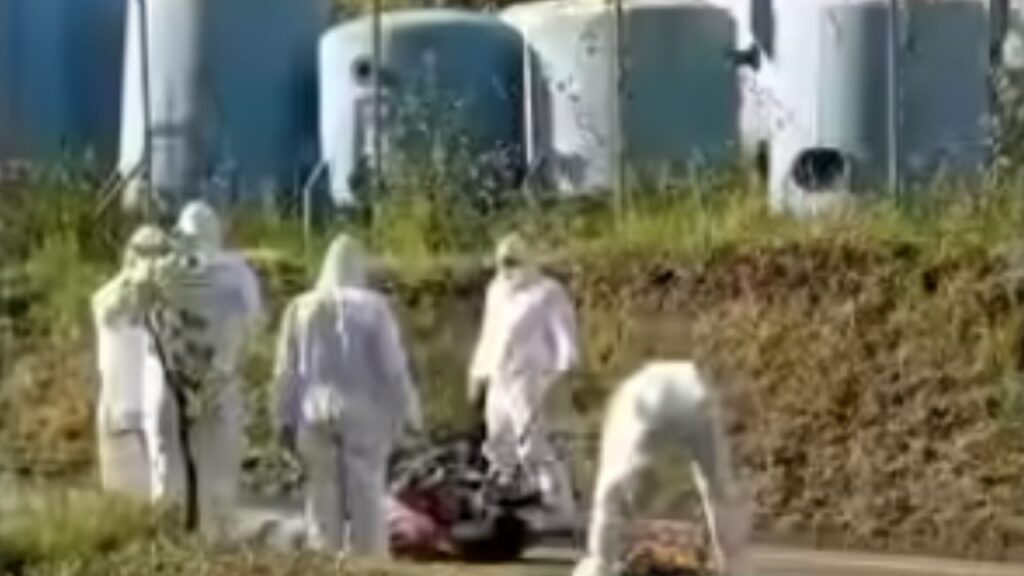 Esto es lo que se sabel del siniestro vial cerca al Túnel de Occidente cobró la vida de una motociclista Esto es lo que se sabel del siniestro vial cerca al Túnel de Occidente cobró la vida de una motociclista