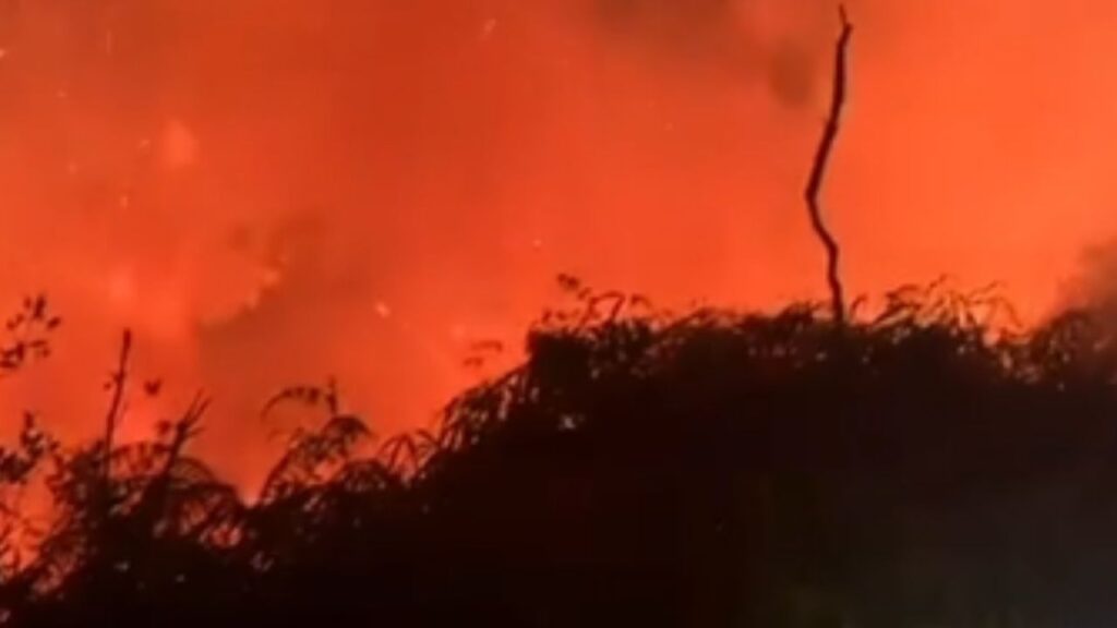 Lo que se sabe del incendio forestal se registró entre los límites de Guarne y Copacabana Lo que se sabe del incendio forestal se registró entre los límites de Guarne y Copacabana