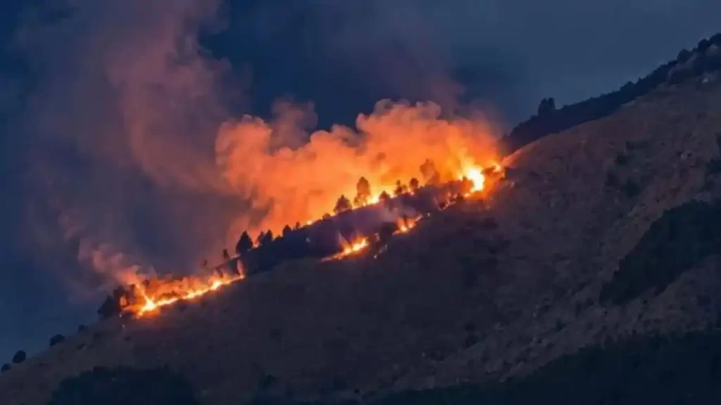 Medellín refuerza prevención de incendios forestales Medellín refuerza prevención de incendios forestales