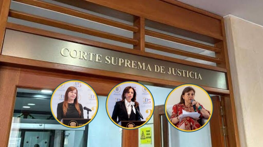 Paula, Emérita y Blanca integran la primera sala de la Corte Suprema conformada solo por mujeres