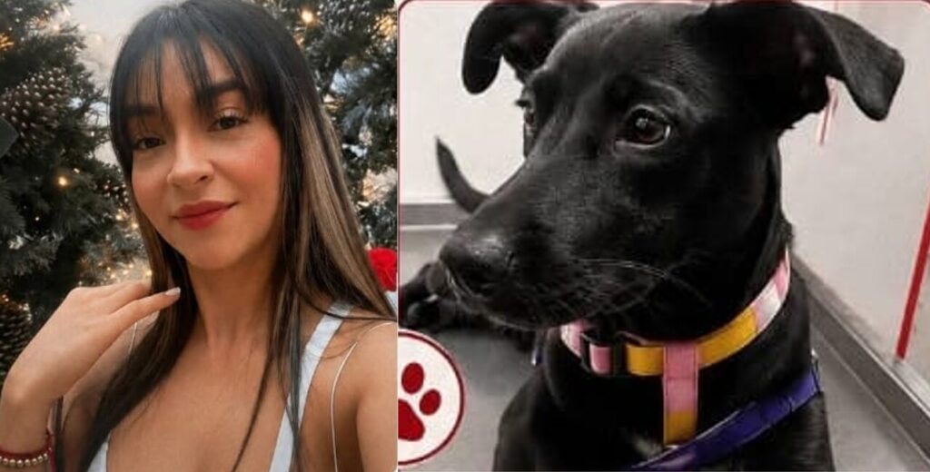 ¡Triste desenlace! Mónica Nuñez, la joven paisa desaparecida en México, fue hallada muerta: de su mascota no hay rastro