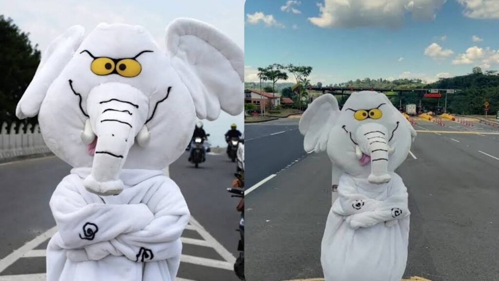 ¿Quién es ‘Elefante Blanco’? El senador que asumió su curul con la indumentaria de su proyecto digital ¿Quién es ‘Elefante Blanco’? El senador que asumió su curul con la indumentaria de su proyecto digital