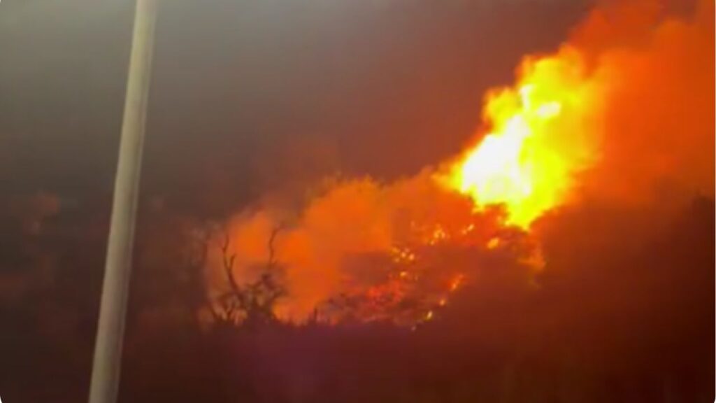 Autoridades investigan incendio forestal que habrían provocado manifestantes en la Medellín