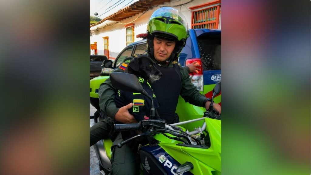 Barbas, perrito que acompañó por más de 10 años a la Policía de Concepción, falleció: «dejó una huella imborrable en nuestros corazones»