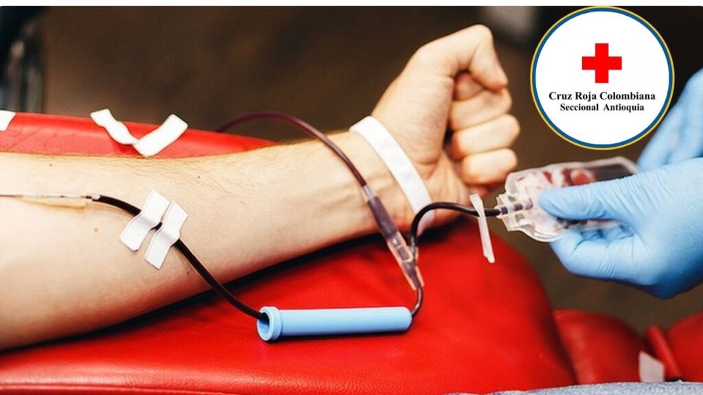 Cruz Roja Antioquia pasó de 20 a 300 donantes de sangre diarios después del terremoto Cruz Roja Antioquia pasó de 20 a 300 donantes de sangre diarios después del terremoto