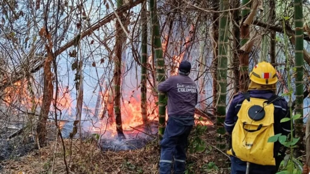 Fuego bajo control en el 84% de las zonas afectadas por incendios en Tolima Fuego bajo control en el 84% de las zonas afectadas por incendios en Tolima