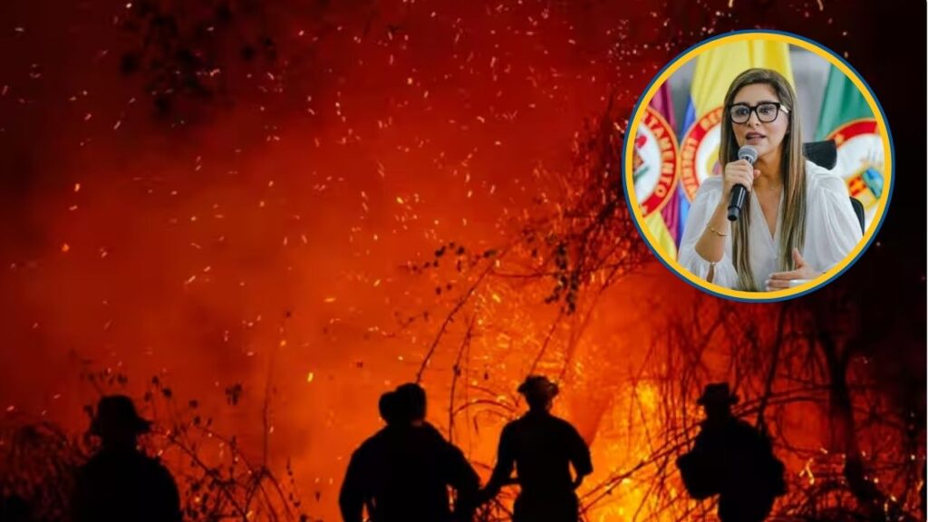Gobernadora del Tolima recibió amenazas de muerte luego de denunciar incendios provocados