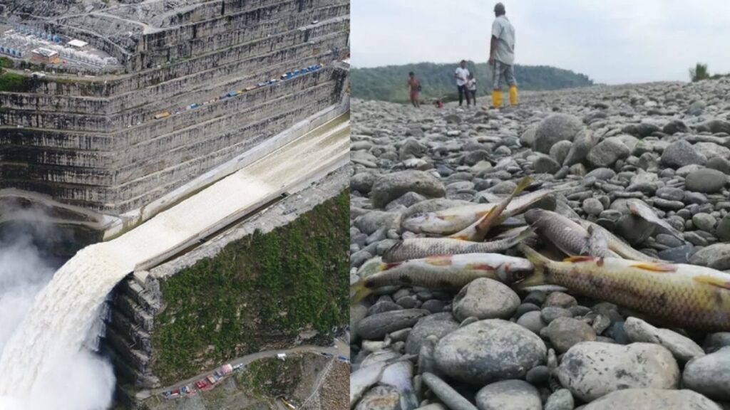 Hidroituango operará con mitad de capacidad debido a que el río Cauca alcanzó mínimos históricos por Fenómeno de El Niño Hidroituango operará con mitad de capacidad debido a que el río Cauca alcanzó mínimos históricos por Fenómeno de El Niño