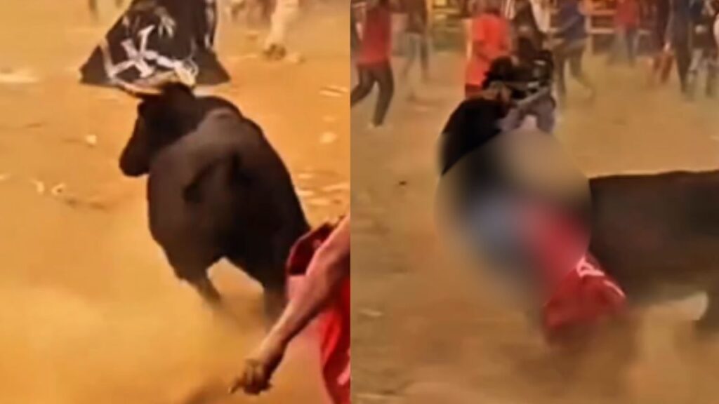 Jhon perdió la vida al ser alcanzado por un toro en las corralejas de Caucasia