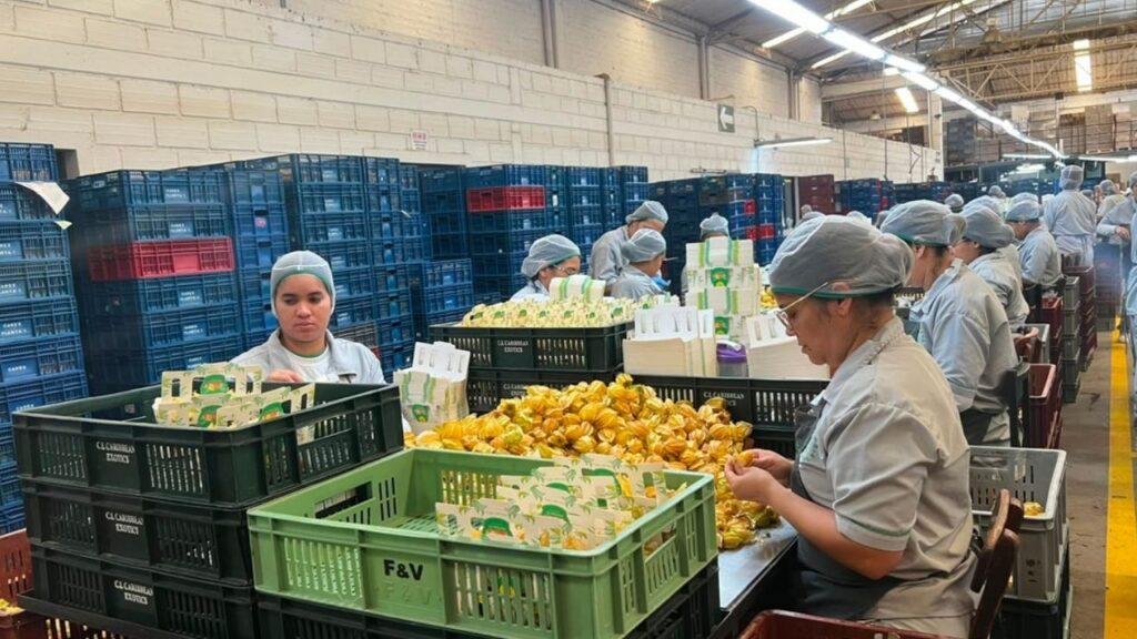 «Más Empleo para las Mujeres» se expande a las subregiones de Antioquia