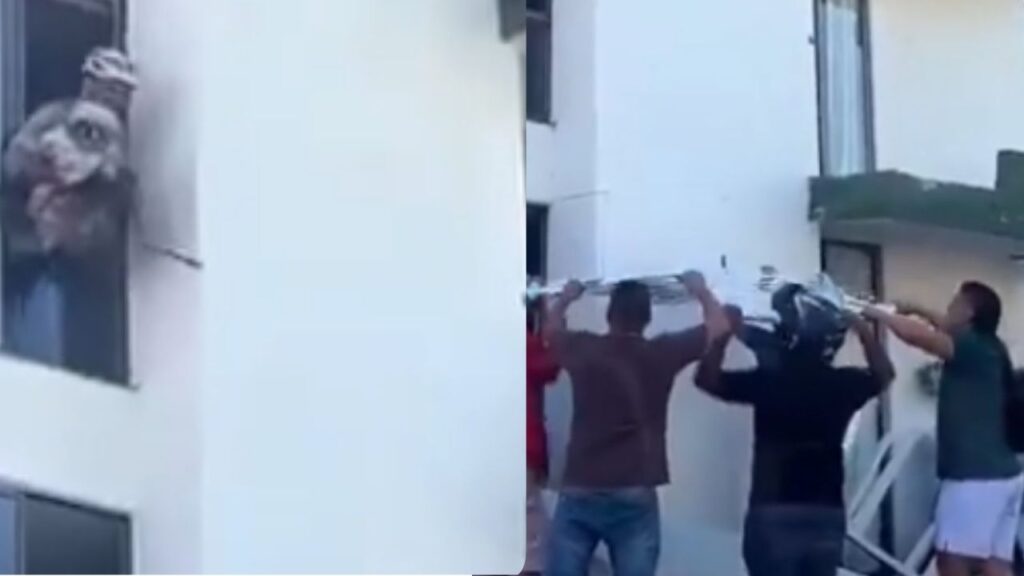 ¡Siguen las historias de esperanza en medio de la emergencia! Un perro fue rescatado en Risaralda ¡Siguen las historias de esperanza en medio de la emergencia! Un perro fue rescatado en Risaralda