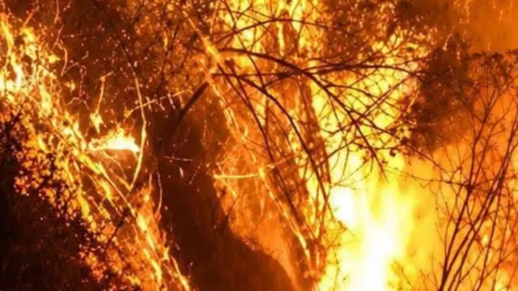 DAGRAN despliega apoyo aéreo y bomberos de cuatro municipios para contener incendio en La Estrella DAGRAN despliega apoyo aéreo y bomberos de cuatro municipios para contener incendio en La Estrella