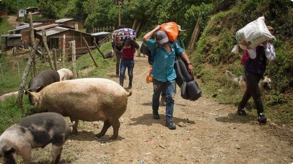 Defensoría del Pueblo alertó a las autoridades por desplazamientos en Anorí y advirtió grave riesgo en Antioquia Defensoría del Pueblo alertó a las autoridades por desplazamientos en Anorí y advirtió grave riesgo en Antioquia