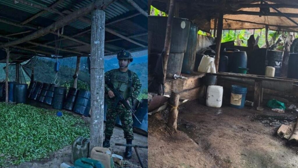 Ejército desmanteló dos laboratorios de pasta base de coca en Valdivia: millones en afectación al Clan del Golfo Ejército desmanteló dos laboratorios de pasta base de coca en Valdivia: millones en afectación al Clan del Golfo
