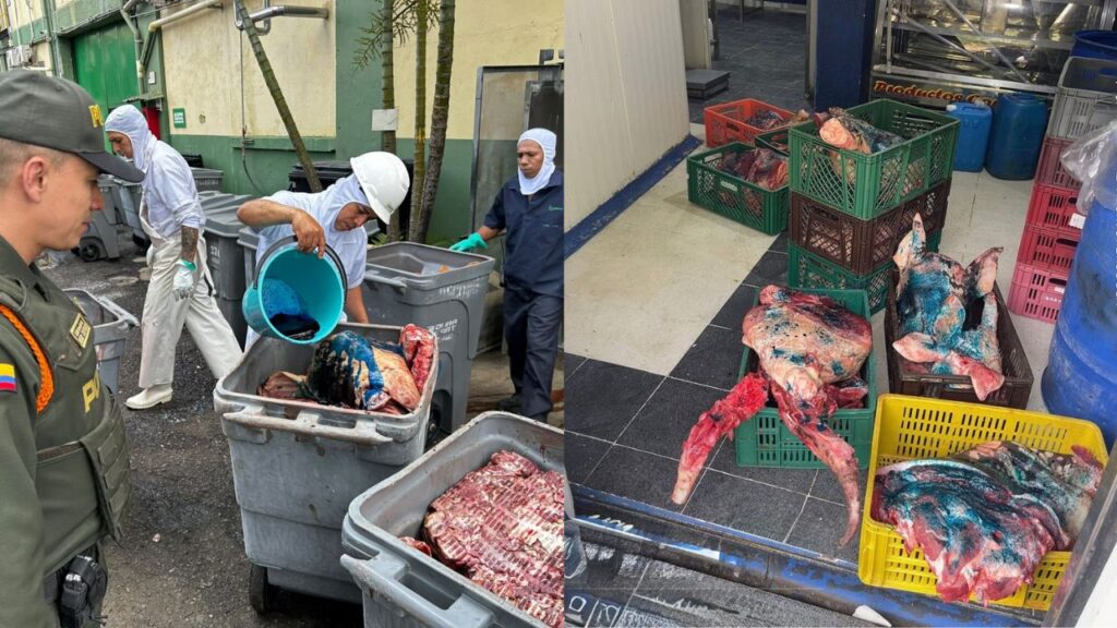 En Bello decomisan más de una tonelada de carne de cerdo en mal estado En Bello decomisan más de una tonelada de carne de cerdo en mal estado